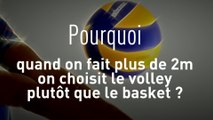 Volley - TQCM - Bleus : Les pourquoi du volley-ball