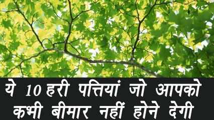 10 green leaves to eat | इन हरी पत्तियों से आप रहेंगे हमेशा तंदुरुस्त  | Boldsky