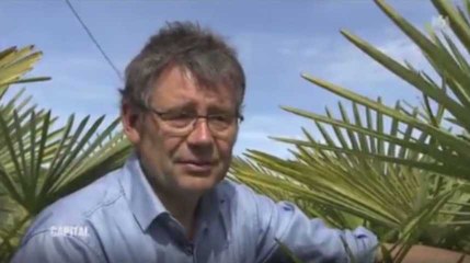 Capital : Un intervenant compare un palmier avec un Africain, déclenchant la colère des téléspectateurs (vidéo)