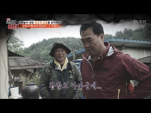 난생처음 만난 산삼을 바로 뺏겨버린 이만기의 사연 [뉴 코리아 헌터] 51회 20170522