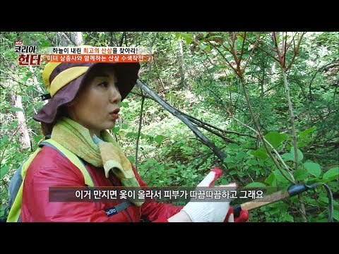 산삼 수색작전! 이것을 조심하라! [뉴 코리아 헌터] 51회 20170522