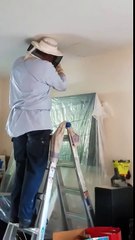 Une ruche comptant 120.000 abeilles trouvée dans le plafond d'une maison aux Etats-Unis