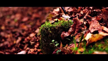 Roger Taylor | Journey's End (promo)