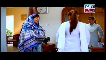 Haya Kay Rang Episode 89 - on Ary Zindagi in High Quality 22nd May 2017