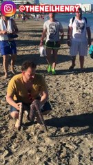 Divertiu-se todo o dia a brincar com uma cobra falsa ahah