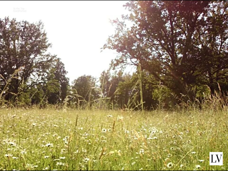 La tierna revancha de una novia en Snapchat