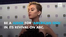 Katy Perry is set to make an incredible amount of money for 'American Idol'