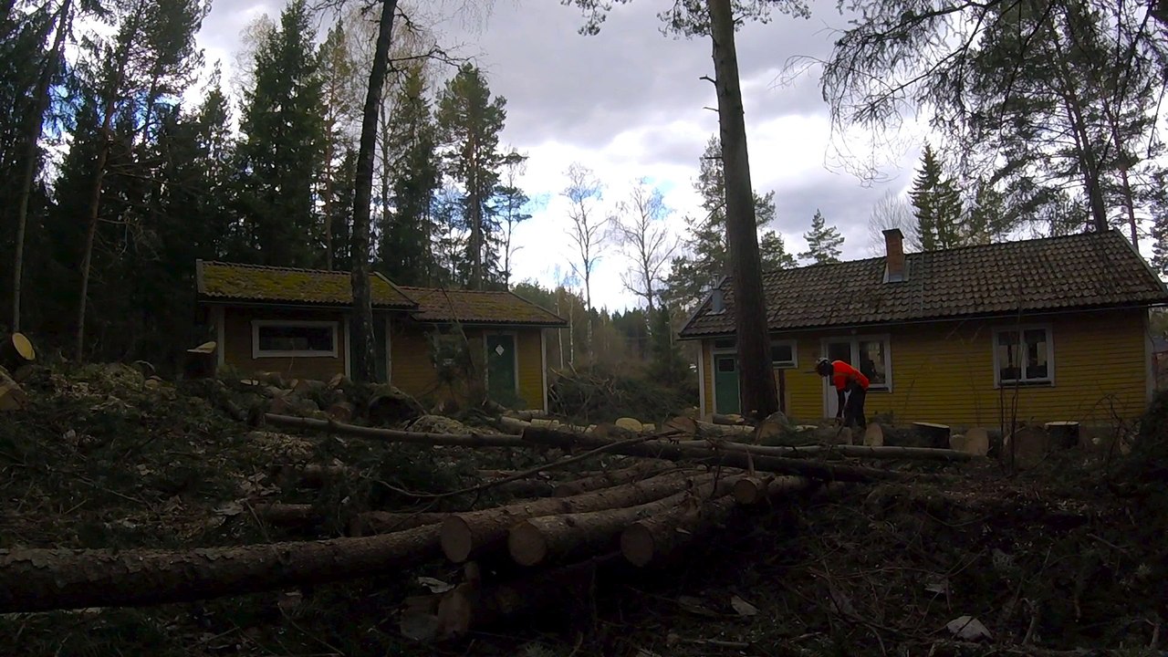 Timber