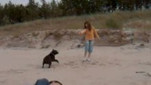 Na plaży Paula i Cavillaca