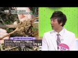 유럽에서 인기있는 약초 [내몸설명서 22회]