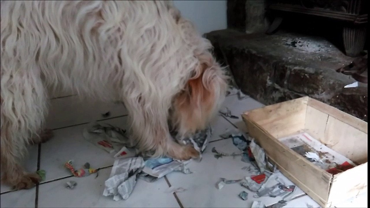 Benji sait lire !!!