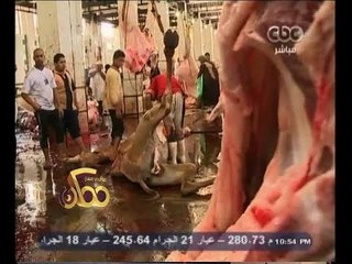 #ممكن | خطوات ذبح الجمال والعجول في عيد الأضحى