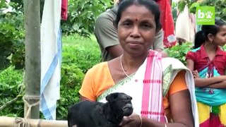 Une chèvre cyclope fait sensation en Inde