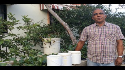 Crianza de Bettas (Reproducción) - Parte 1