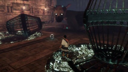 THE LAST GUARDIAN FIRST TIME PLAYTHROUGH PART 29