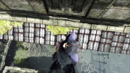 THE LAST GUARDIAN FIRST TIME PLAYTHROUGH PART 35