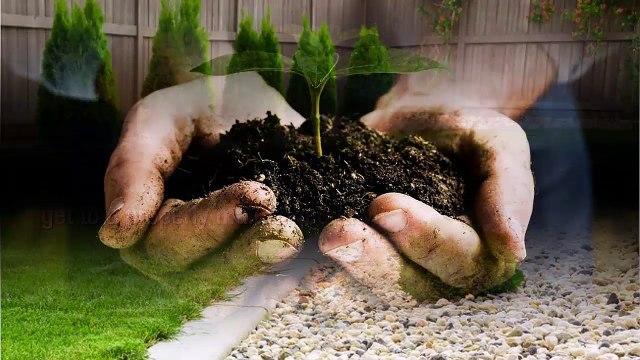 Meadow Lawn And Landscape: Providing The Best Lawn Care Solutions