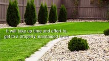 Lawn Care Services At Its Finest By Meadow Lawn And Landscape