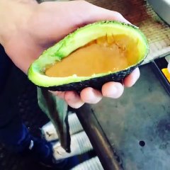 Sure, Millennials Can't Buy Houses, but at Least They Have the 'Avolatte'