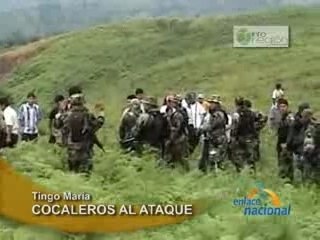 COCALEROS AL ATAQUE - TINGO MARIA
