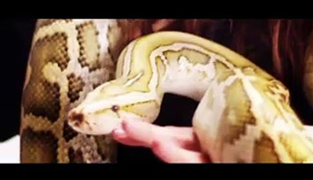 DJ Kayz Ft. Mr Géant - Ailleurs (Official Music Video)