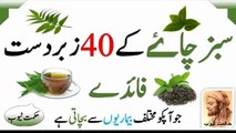 green tea benefits green benefits in urdu hindi green tea ke fayde green tea ke faide green tea