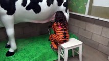 Halloween at the ZOO Animal Show Milking Cow Learn Animals for Kids-zd7O