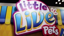 Little Live Pets TOY FAIR 2016 Tweet Talking Bird, Lil Frog, Turtle, Mouse, Snuggles Puppy-aPADY9zq