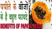 पपीते के बीजों के फायदे कर देंगे आप को हैरान |Benefits Of Papaya Seeds |Papite Ke beej Ke fayde