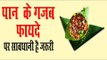 पान खाने  के मस्त मस्त फायदे  | Health Benefits Of Betel | Paan Khane Ke  Fayda In Hindi
