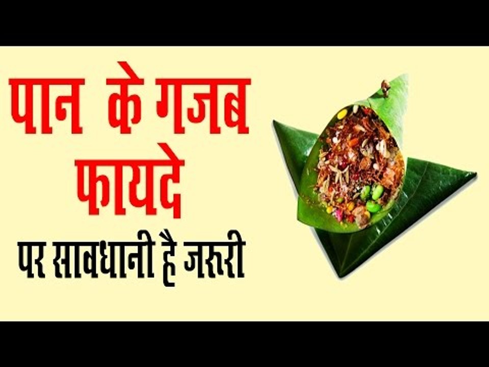 पान खाने  के मस्त मस्त फायदे  | Health Benefits Of Betel | Paan Khane Ke  Fayda In Hindi