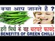 हरी मिर्च के लाजवाब फायदे | Health Benefits Of Green Chilli In Hindi | Mirch Ke Fayde