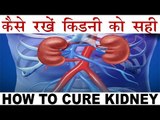 अगर नजर आयें यह लक्षण तो समझ जायें की किडनी ख़राब है | Kidney Problem Symptoms