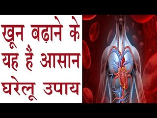 शरीर को स्वस्थ रखने और खून बढ़ाने के यह हैं आसान उपाय | How To Increase Blood In Body In Hindi