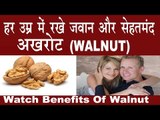 अखरोट (Walnut) हर उम्र में देता है साथ |Amazing Benefits Of Walnut In hindi |Akhrot ke Fayde