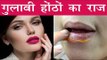 गुलाबी और खूबसूरत होंठों को पाने के चमत्कारिक नुस्खे | Get Black To Pink Lips Naturlly In Hindi