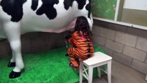 Halloween at the ZOO Animal Show Milking Cow Learn Animals for Kids-zd