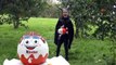 GIANT KINDER SURPRISE EGG 50 Kinder Surprises Eggs Frozen Elsa Star Wars Batman Disney Princess Toys-0WhEc