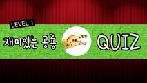 [한글] 꼬꼬스토이 공룡퀴즈! 나는 누구일까요 레벨1, 어린이 유아교육, 공룡이름 익히기, 컬렉타 [꼬꼬스토이]-xogO12Vp