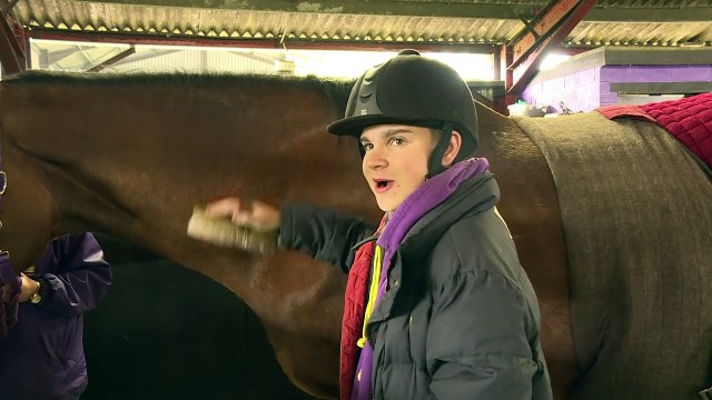 Des anciens chevaux de courses soignent des jeunes en difficulté