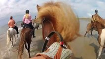 Horse Riding - Icelandic Horses for Kids23423