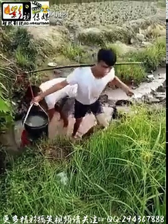 funny videos compilation