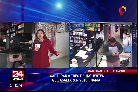 SJL: capturan a tres delincuentes que asaltaron veterinaria