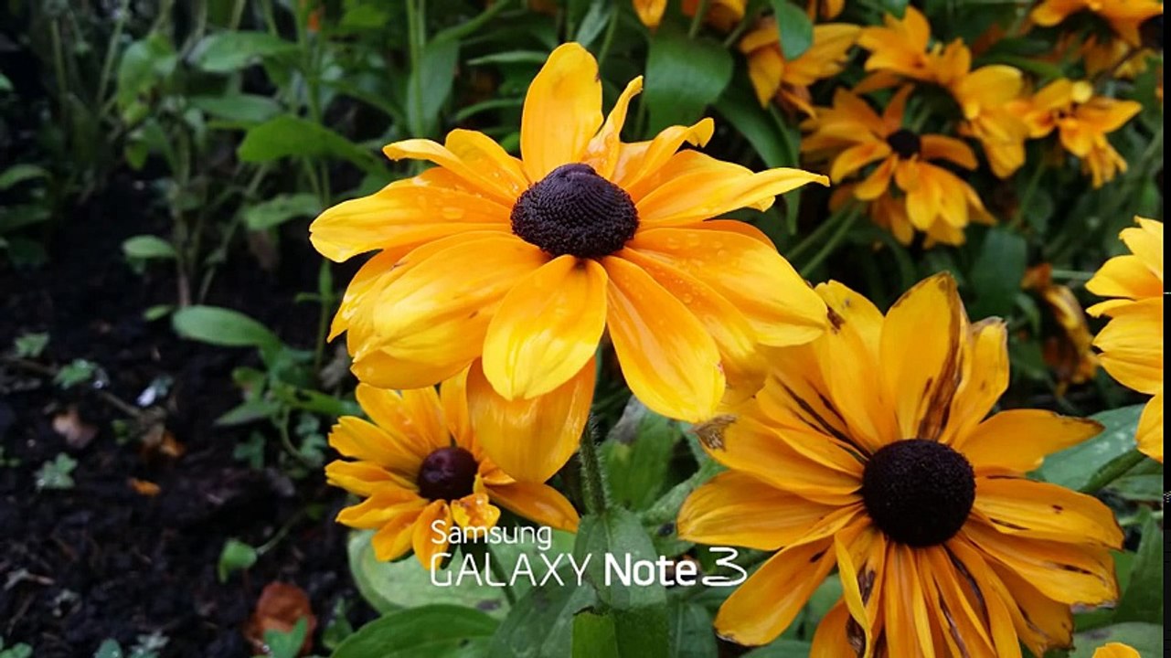 Samsung Galaxy Note 4 vs Samsung Galaxy Note 3