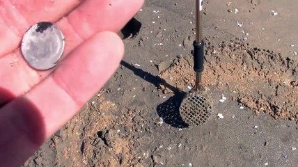 The Boss Detector Pick