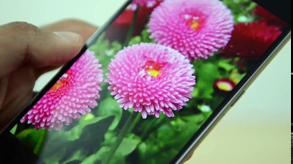Samsung Galaxy Note 5 vs Samsung Galaxy S6
