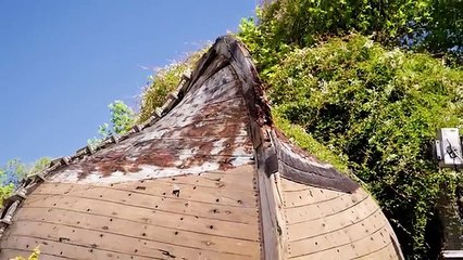 10 Unbelievable Sightings After Japanese TSUNAMl