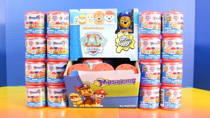 Paw Patrol Super Squishy Mashems Surprise Toy Opening-vt1gbJ