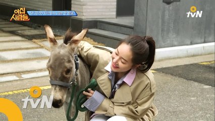 [선공개] "누가누가 잘 짓나♪" 이서진/아이유인나/CL의 노홍철 당나귀 작명 열전!