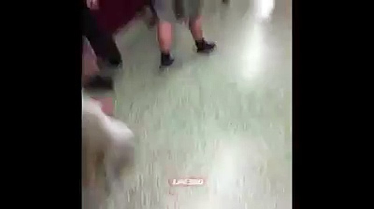 fun